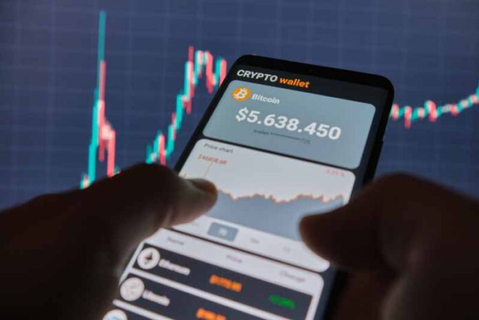 La clé d’un portefeuille crypto réussi : analyse, gestion des risques et projections SMICTOM